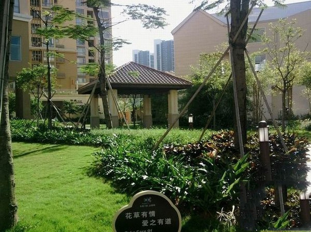 深圳上河坊,书香门第二期_深圳横岭工业区1附近小学_q小区青田县v小学图片